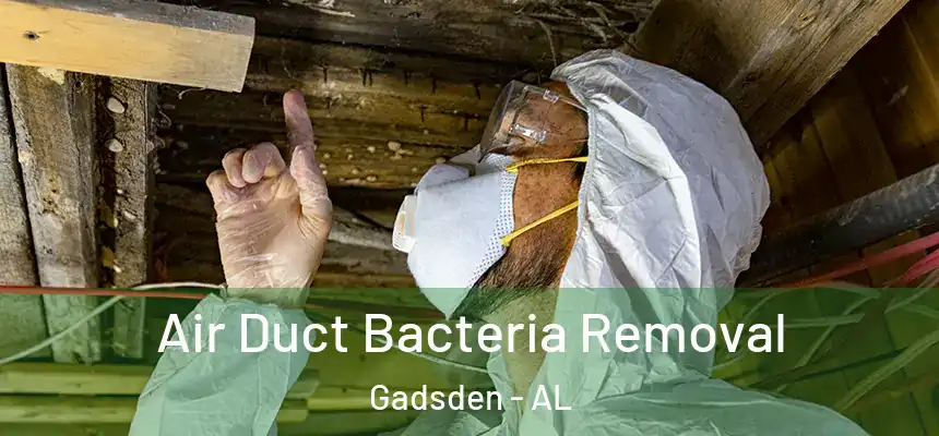  Air Duct Bacteria Removal Gadsden - AL