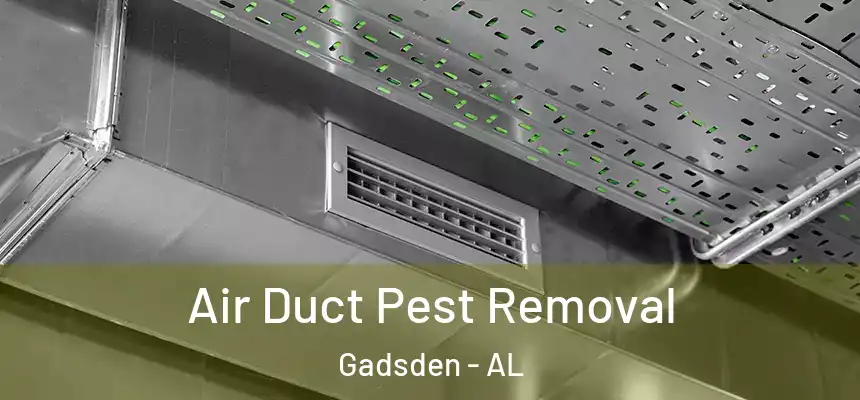  Air Duct Pest Removal Gadsden - AL