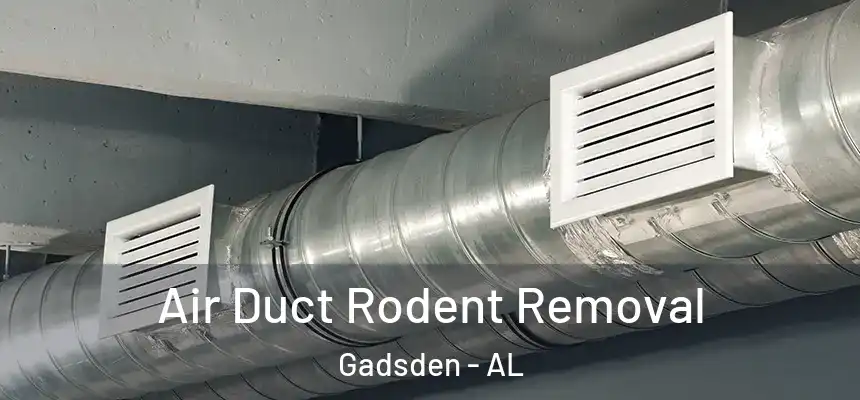  Air Duct Rodent Removal Gadsden - AL