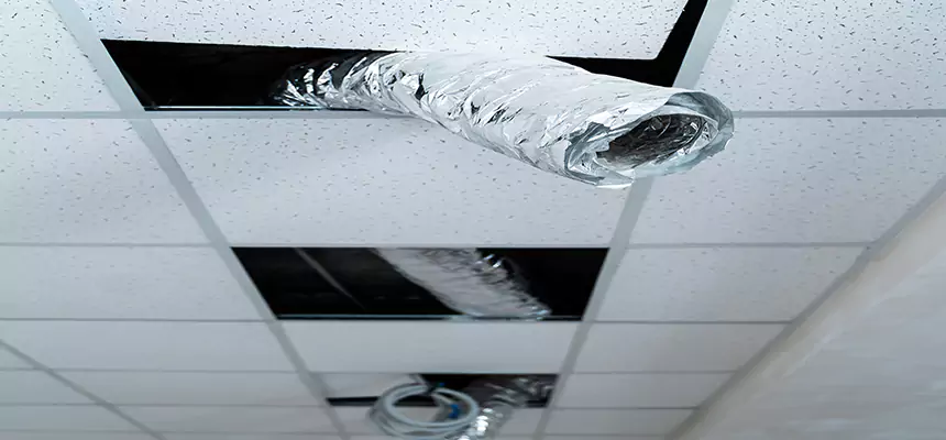 Affordable HVAC Sanitizing After Pest Removal in Gadsden