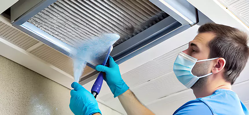 Proactive Dryer Vent & Auxiliary Duct Pollen Cleanup in Gadsden, AL
