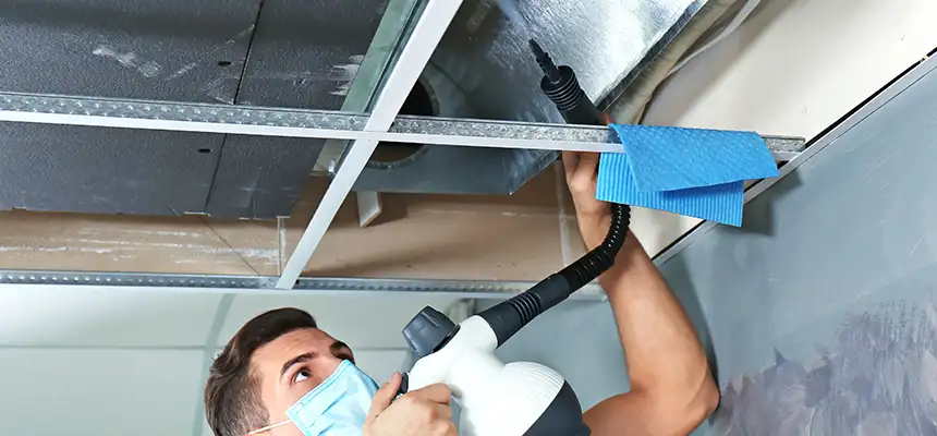 Our Air Duct Rodent Removal Services in Gadsden, AL
