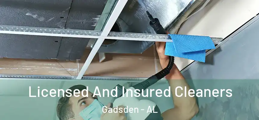 Licensed And Insured Cleaners Gadsden - AL