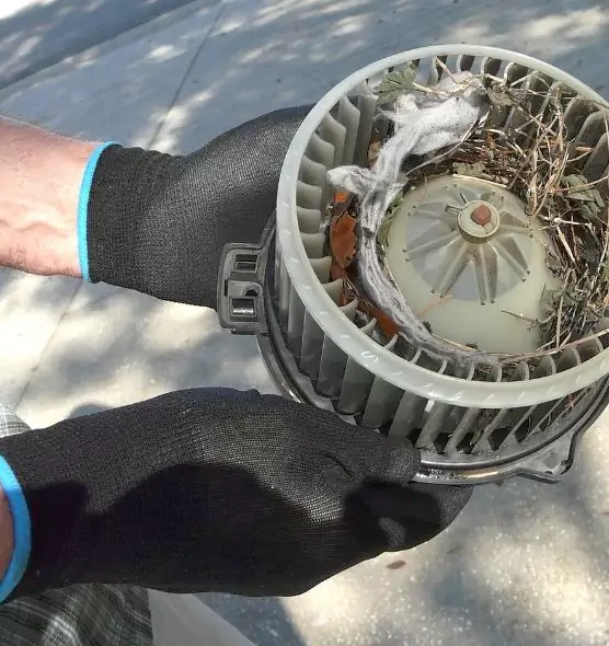 About Air Duct Rat Removal in Gadsden, AL