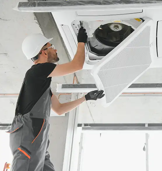 About Air Duct Rodent Removal in Gadsden, AL